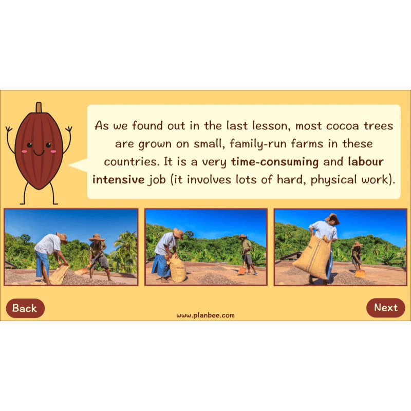 Where does Chocolate come from? - Image 8