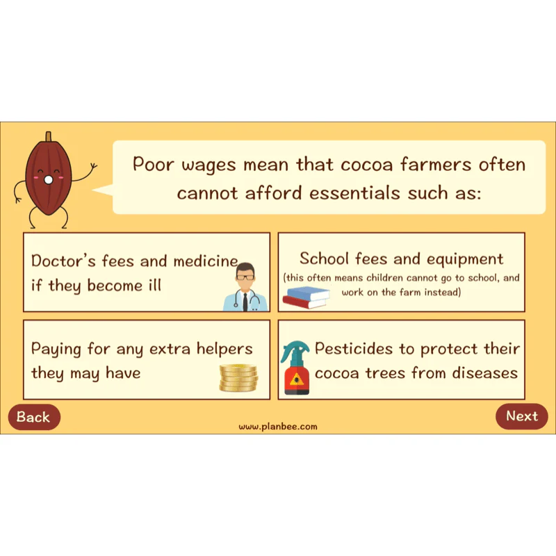 Where does Chocolate come from? - Image 9