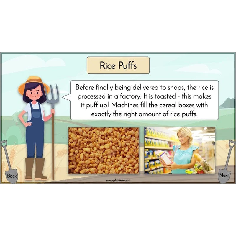 Where does our food come from? - Image 22