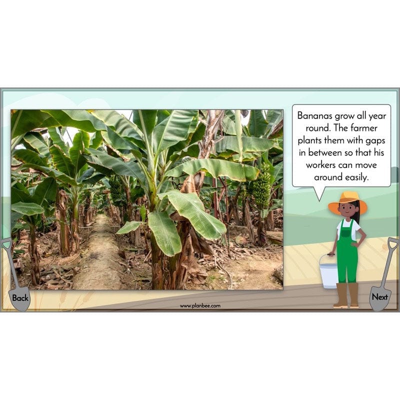 Where does our food come from? - Image 38