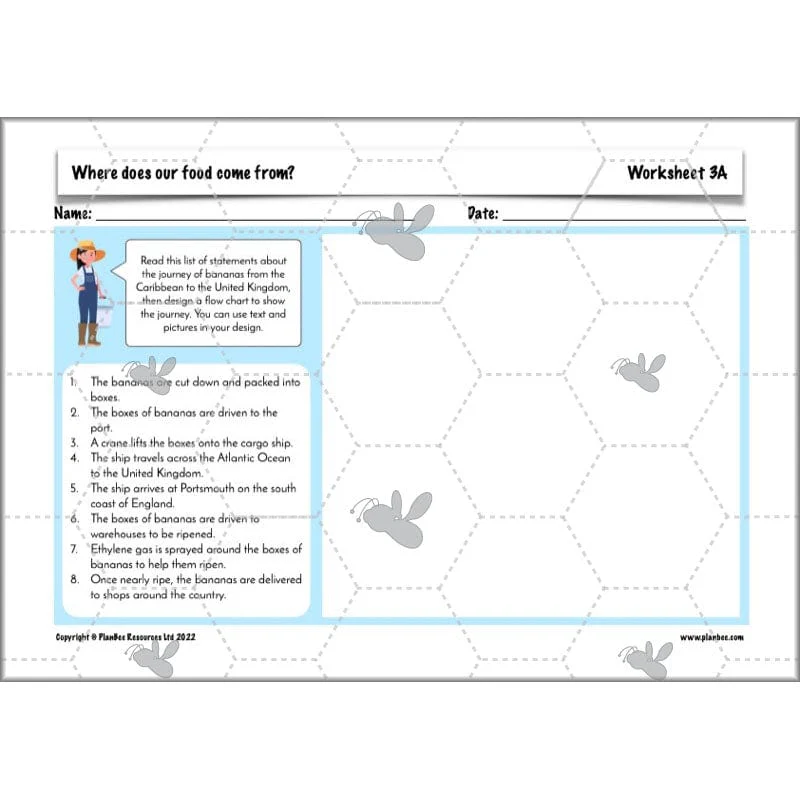 Where does our food come from? - Image 40