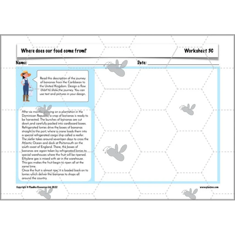Where does our food come from? - Image 41