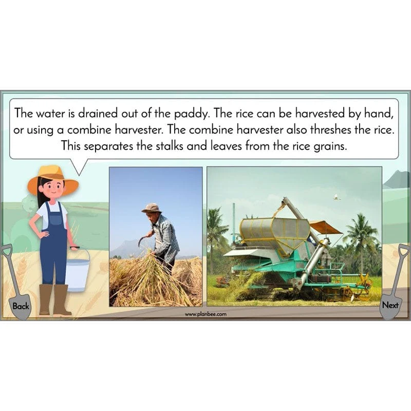 Where does our food come from? - Image 46