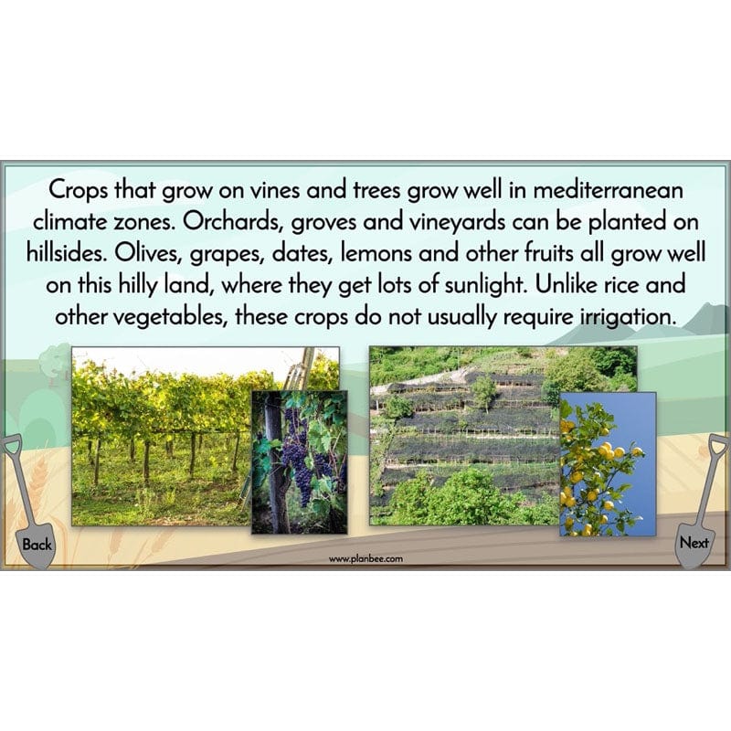 Where does our food come from? - Image 55