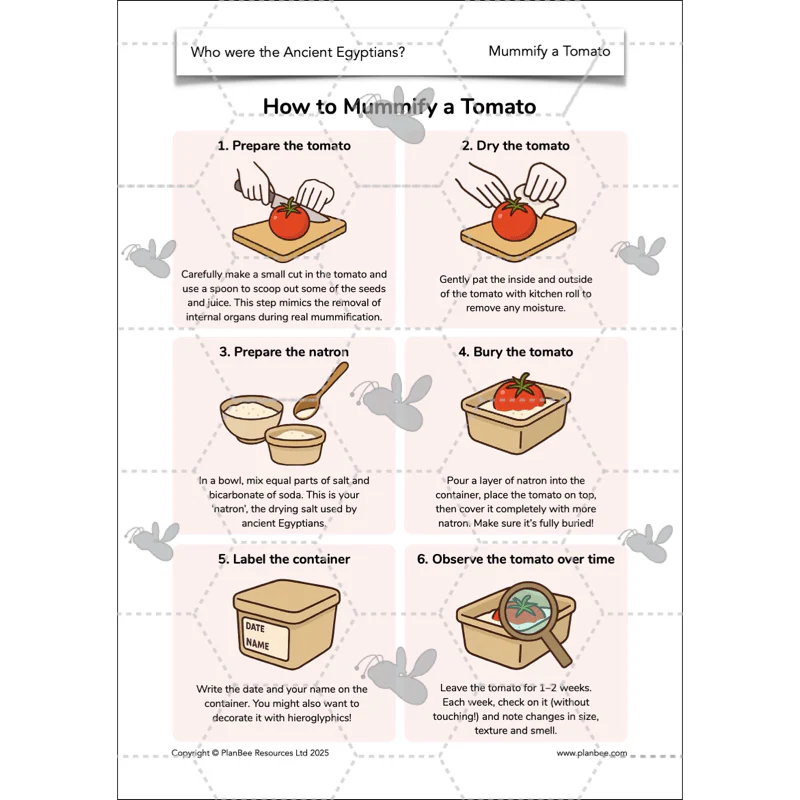 Who were the Ancient Egyptians? - Image 20