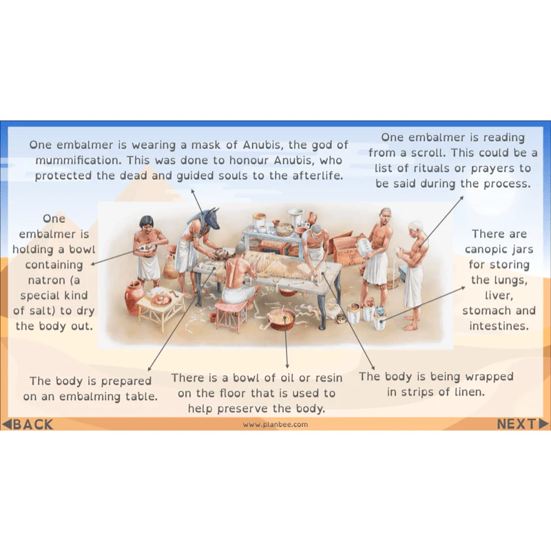Who were the Ancient Egyptians? - Image 52