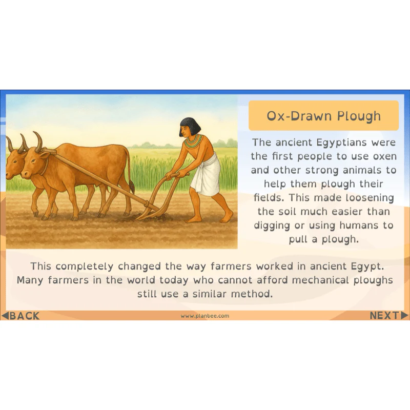 Who were the Ancient Egyptians? - Image 75
