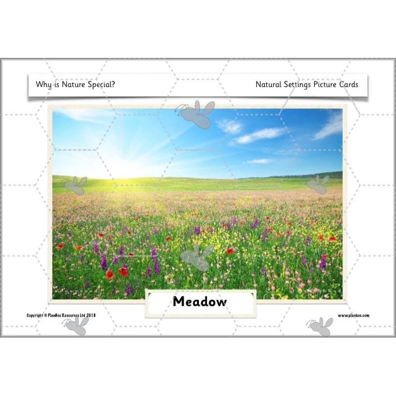 Why is Nature Special - Image 11