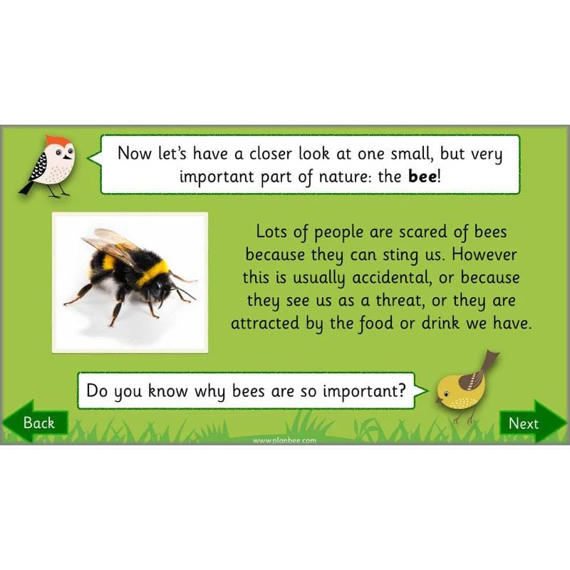 Why is Nature Special - Image 29