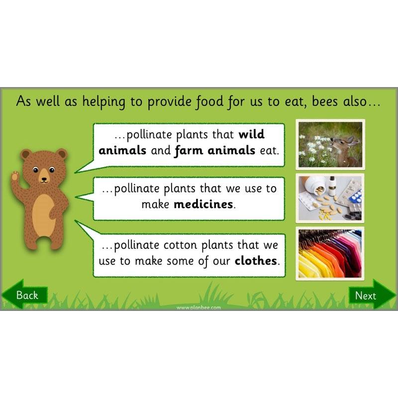 Why is Nature Special - Image 8