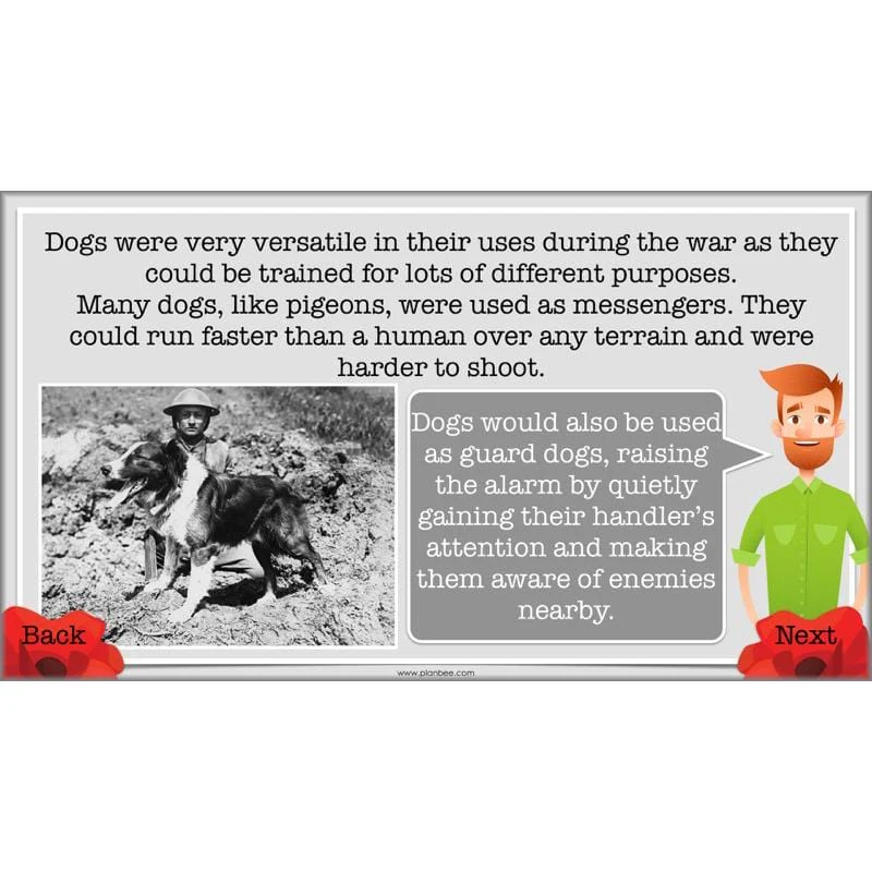 World War 1 - Image 51