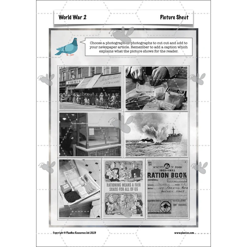 World War 2 Upper KS2 - Image 49