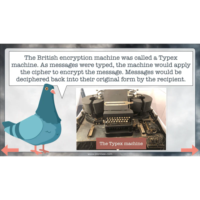 World War 2 (Upper KS2) Topic Enrichment Pack - Image 3