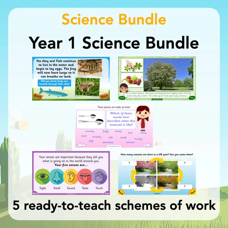 Year 1 Science Bundle