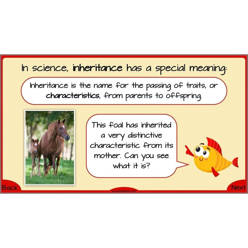 Evolution and Inheritance - Image 22